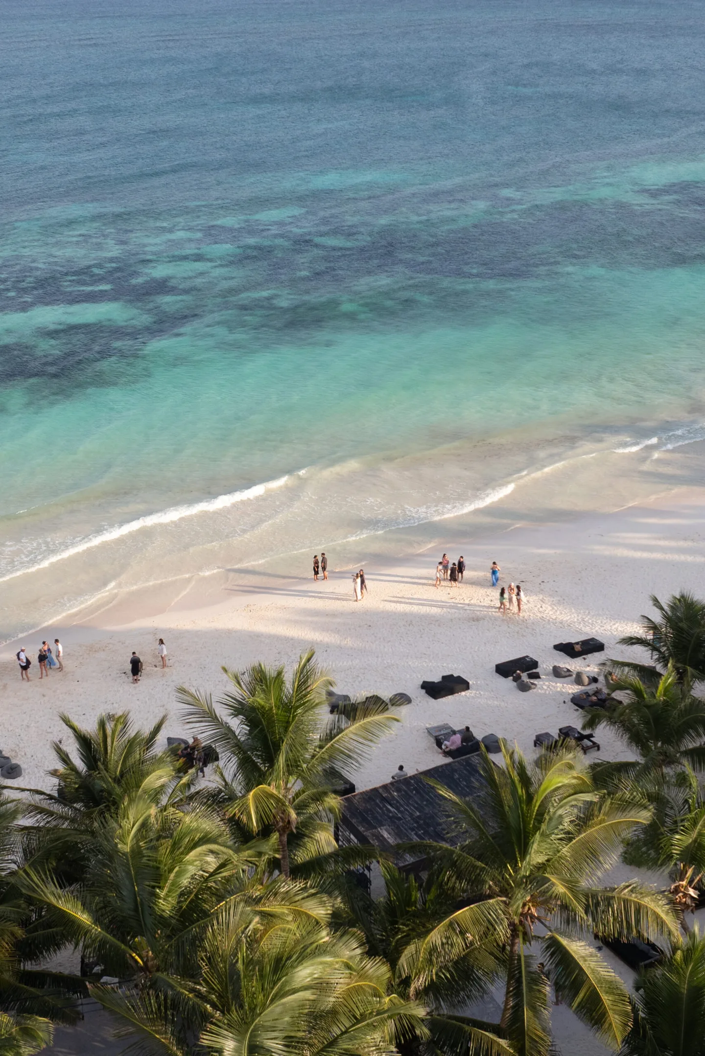The turquoise sea and beach seen from above the palms