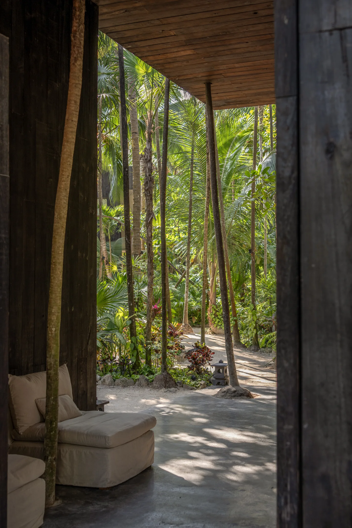 A view from inside a wooden structure overlooking a lush forest.