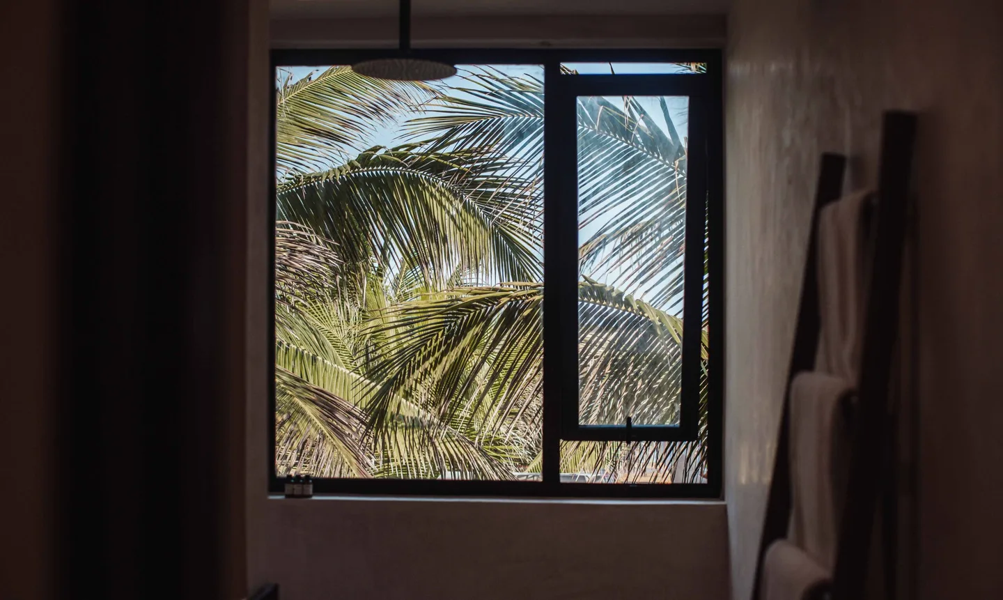 A window view of palm trees and a clear blue sky.